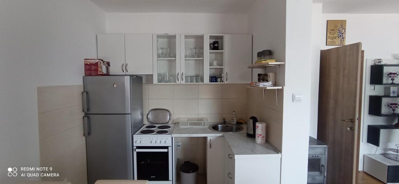 Appartement Apartman Bujisic à Plužine Extérieur photo